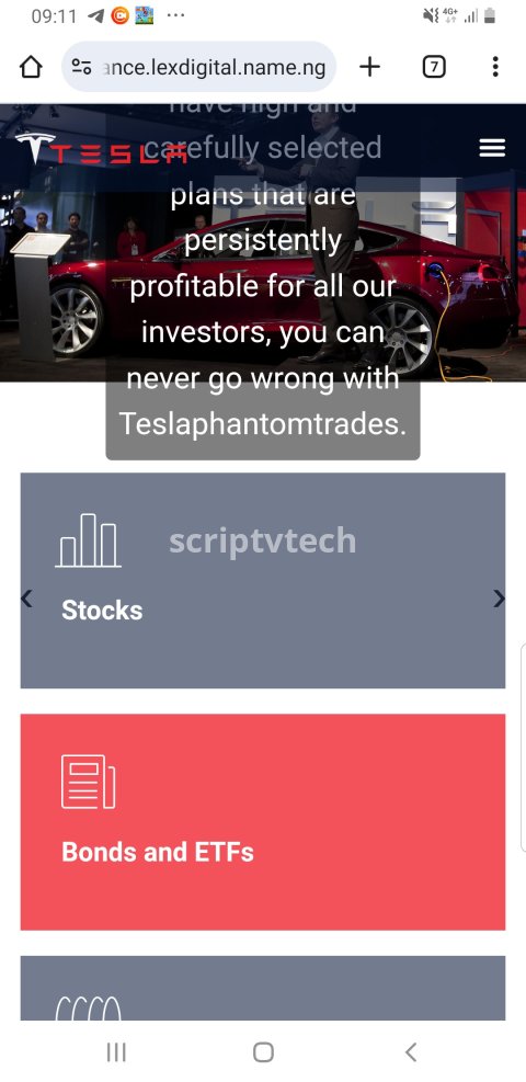 Tesla Investment stocks and car inventory Script